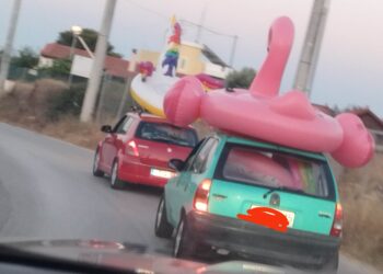 Φλαμίγκο σε ΙΧ: Πως να το μεταφέρεται στη θάλασσα!