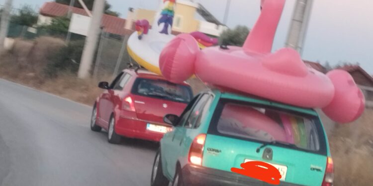 Φλαμίγκο σε ΙΧ: Πως να το μεταφέρεται στη θάλασσα!